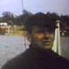 Staffan Hallstrm